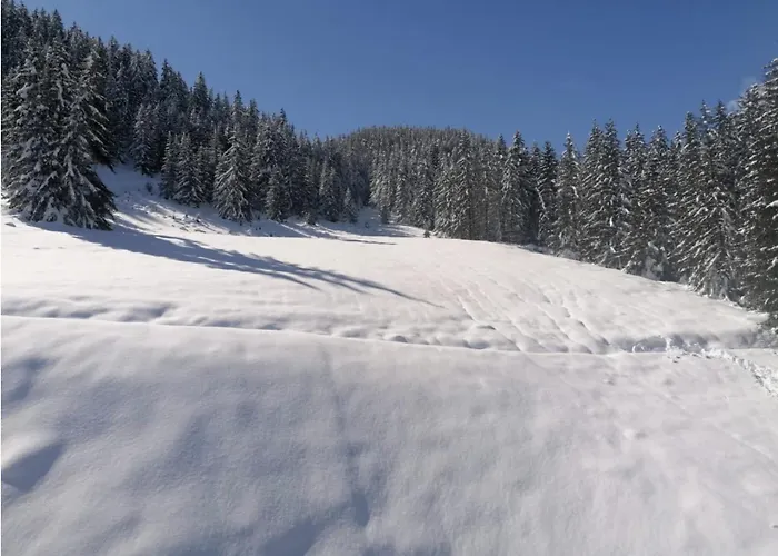 Charming Apt, In-out, Heart - Roche Blanche *